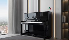 Carod Upright Piano Basic X21-SS Black