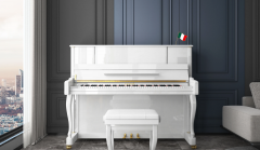 Carod Upright Piano Beginners X23-SS White